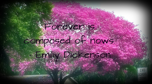 Forever is now quote ED